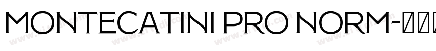 Montecatini Pro Norm字体转换